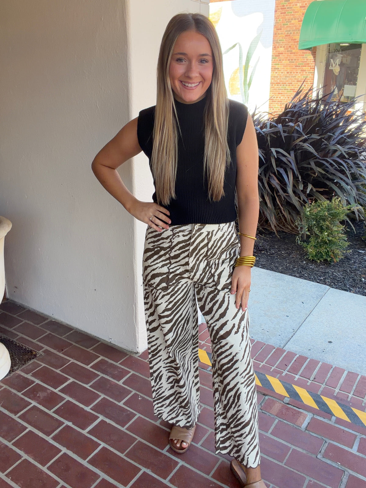 Brown/Tan Zebra Pants