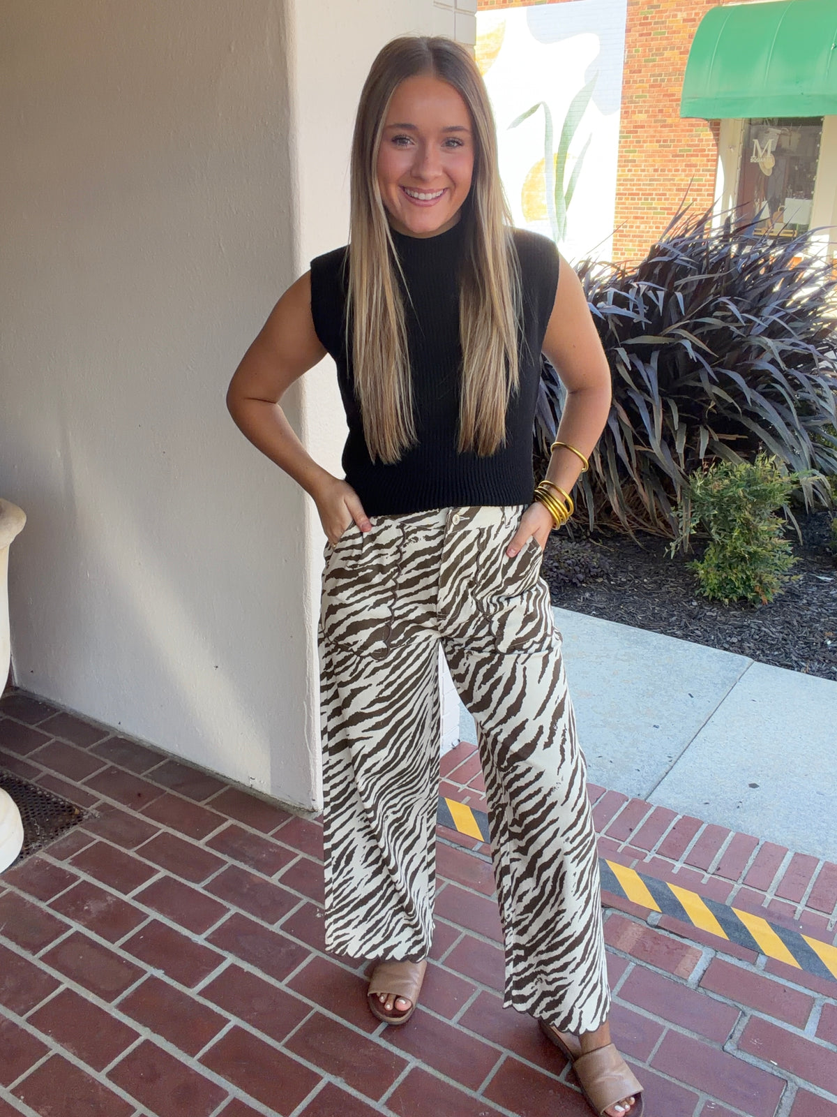 Brown/Tan Zebra Pants