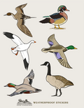 Waterfowl Weatherproof Stickers