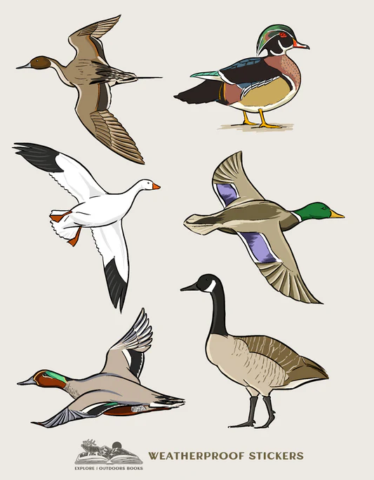 Waterfowl Weatherproof Stickers